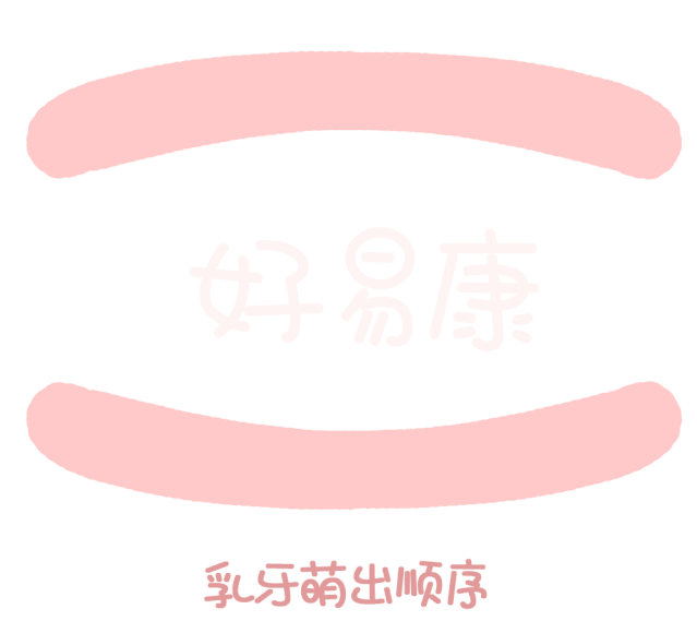 尚佳專(zhuān)業(yè)月嫂丨關(guān)于寶寶長(cháng)牙問(wèn)題，都在這里！
